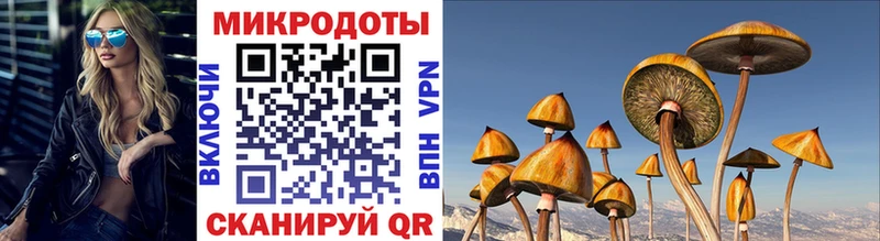 Галлюциногенные грибы GOLDEN TEACHER  Курильск 